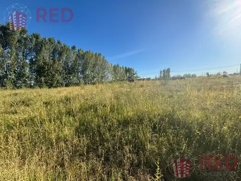 Terreno en Venta en China Muerta, $ 10.500.000