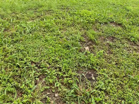 Av constitución y Ruta 9