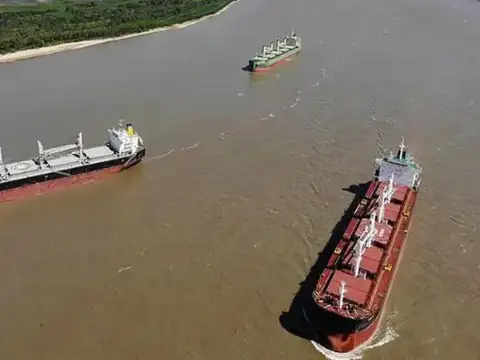 Paraná de las palmas