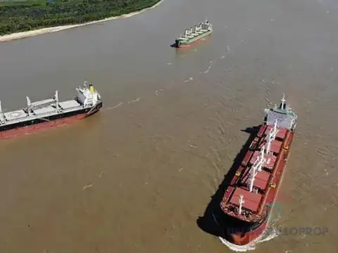 Paraná de las palmas