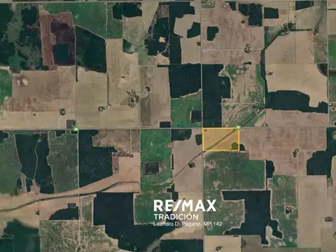 Campo agrícola 18 Has – Pcia. R. Sáenz Peña