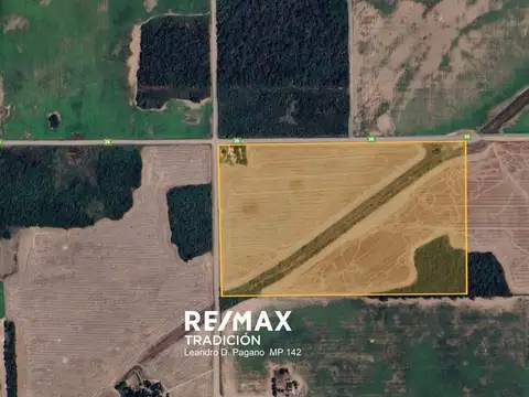 Campo agrícola 18 Has – Pcia. R. Sáenz Peña