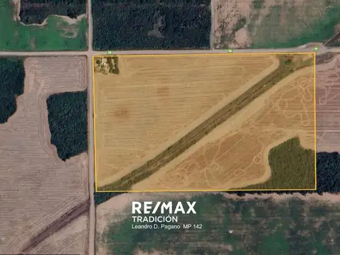 Campo agrícola 18 Has – Pcia. R. Sáenz Peña