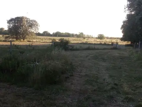 VENTA TERRENO 7 HECTAREAS EN LA CAPILLA F.VARELA