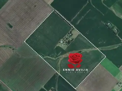 Chacra en Baradero RP41 Km 315