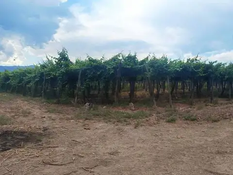 Colonia Segovia , Piso 0