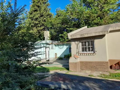 Leopardi 5900, Piso 0