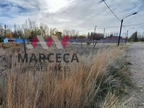 Terreno en Venta en Plottier, USD 12.000