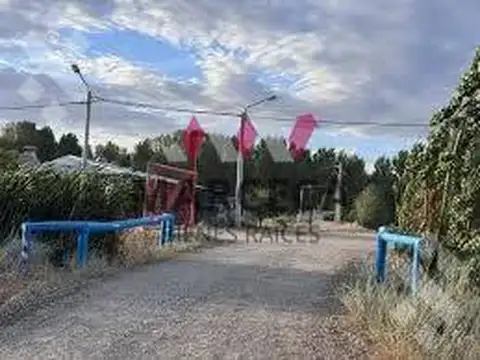 FRANCISCO VIVES RENS