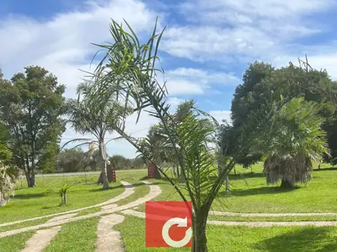 Atalaya