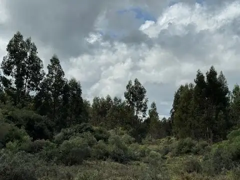Campo - Venta - Uruguay, Maldonado