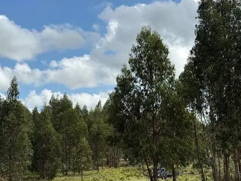 Campo - Venta - Uruguay, Maldonado