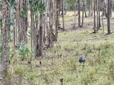 Campo - Venta - Uruguay, Maldonado