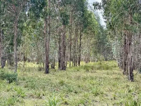 Campo - Venta - Uruguay, Maldonado