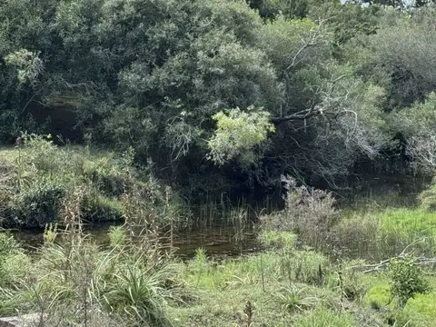 Campo - Venta - Uruguay, Maldonado