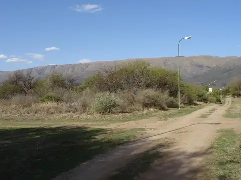 Importante terreno con servicios sobre boulevard - 1400 m2