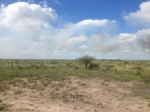 Campo en Venta Agrícola Ganadero 2.812,33 has.