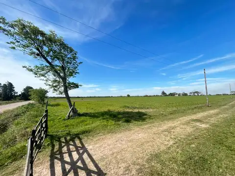 CAMPO UBICADO EN ruta provincial  55