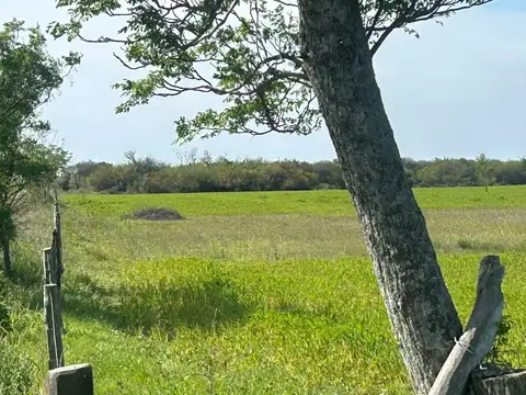 CAMPO UBICADO EN ruta provincial  55