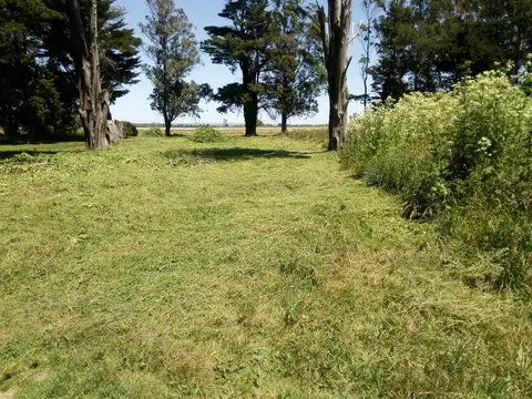 Terreno en Venta 16  mts Frente