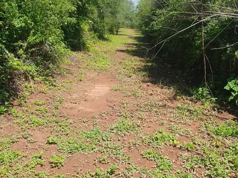 Coronel Moldes. Camino Rural S/N