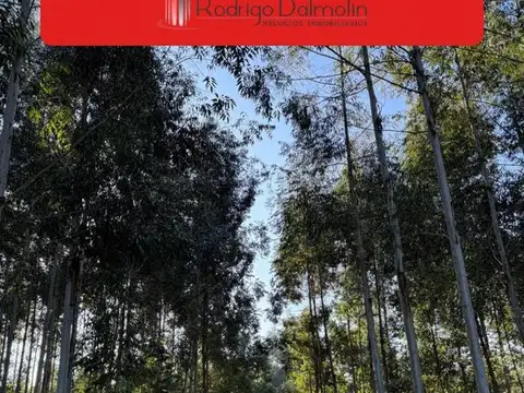 Ruta Nacional 14 200