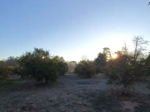 Quinta - Venta - Argentina, Concordia - 25 DE MAYO 4800