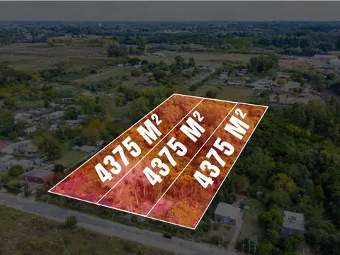 Venta de campo 13.125m² Piedras Blancas Montevideo