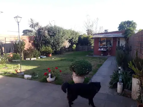 Bernardo De Irigoyen 100