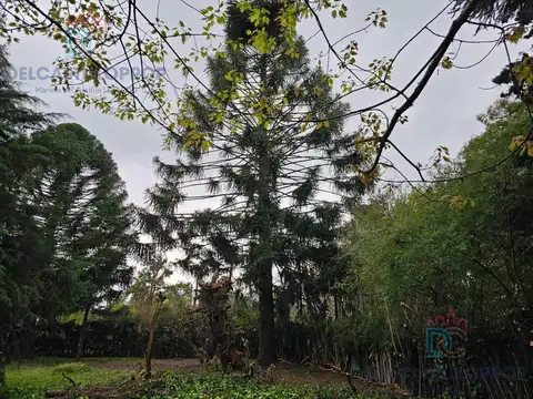 Terreno en Venta en Maquinista F Savio, USD 45.000