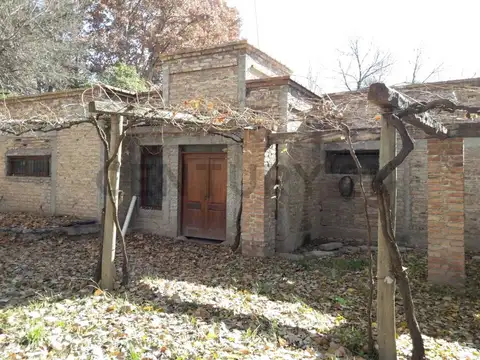 FINCA CON NOGALES – PERDRIEL – LUJÁN DE CUYO