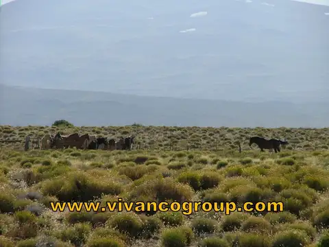 Campo en Venta Mixto