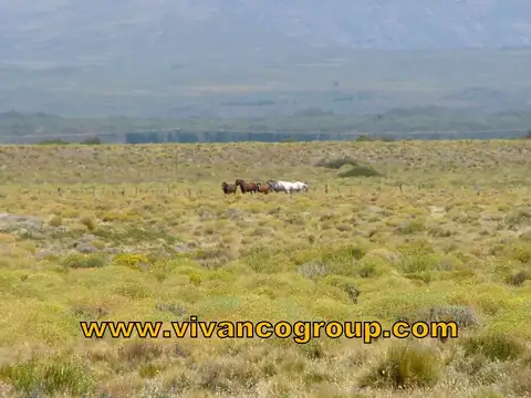 Campo en Venta de 5.000  ha