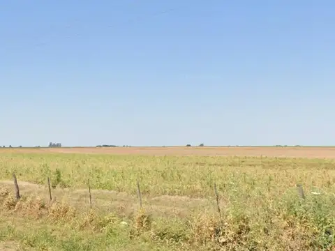 Campo en Coronel Bogado