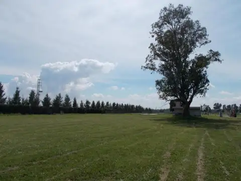 Venta Lote Interno En Belleville Canning