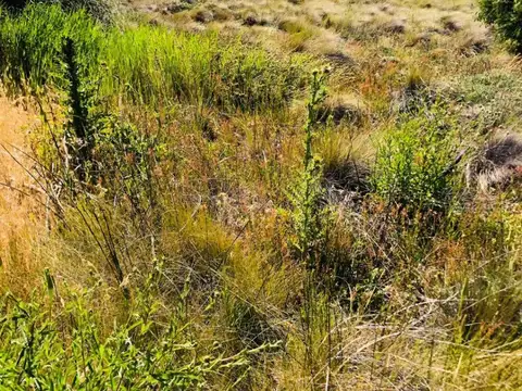 Terreno en Venta en San Martin De Los Andes, USD 65.000