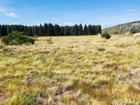 Terreno en Venta 30  mts Fondo