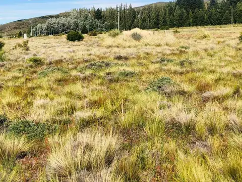 Ruta 40, Km 2200