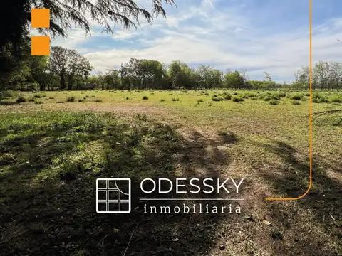 Ruta Nacional 205 100