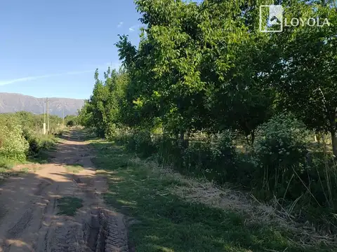 Campo en Venta de 5  ha