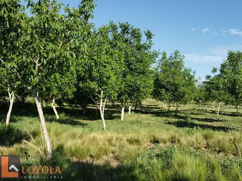 Campo en Venta de 5  ha