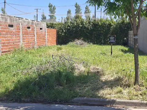 Pje. El Anden 700
