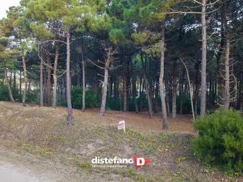 Terreno en Venta en Pinamar, USD 128.000
