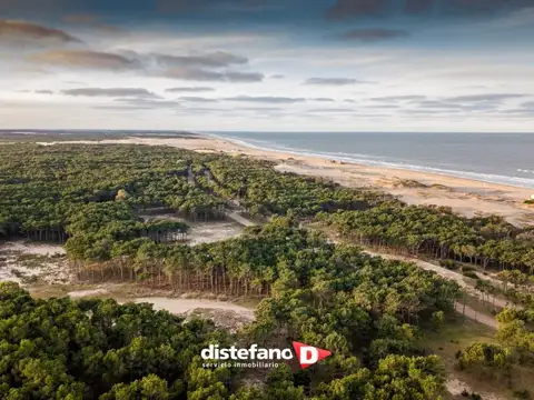 Terreno - Venta - Argentina, PINAMAR
