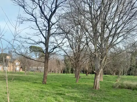Terreno en Venta 55  mts Frente