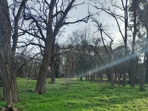 Los Tilos 126, lote  6 Sierra de la Ventana, Provincia de Buenos Aires, Argentina