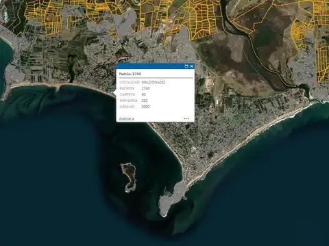 RBLA. CLAUDIO WILLIMAN 100