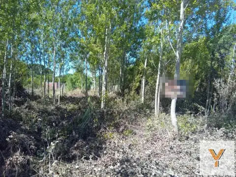 Terreno en Venta - 500mts2 - Nueva Atlantis