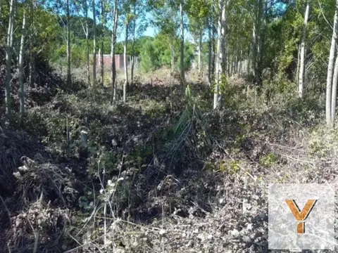 Terreno en Venta - 500mts2 - Nueva Atlantis