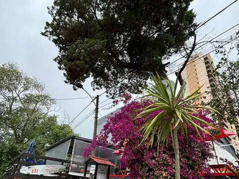 Hotel en Alquiler 60 años